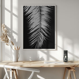 Tablou înramat „Palmblad_004” de Pictufy Studio III