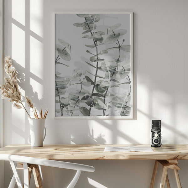 Tablou înramat „Eucalyptus_001” de Pictufy Studio III