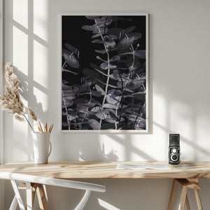 Tablou înramat „Eucalyptus_Negative_002” de Pictufy Studio III