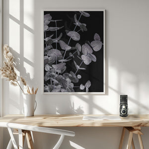 Tablou înramat „Eucalyptus_Negative_003” de Pictufy Studio III
