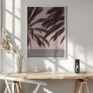 Tablou înramat „Palm_011” de Pictufy Studio III