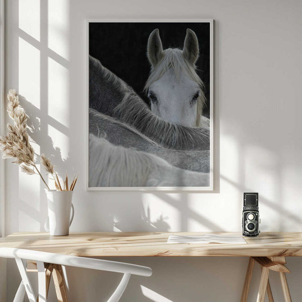 Tablou înramat „Look” de Milan Malovrh