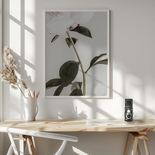 Tablou înramat „Peony 09” de Pictufy Studio III