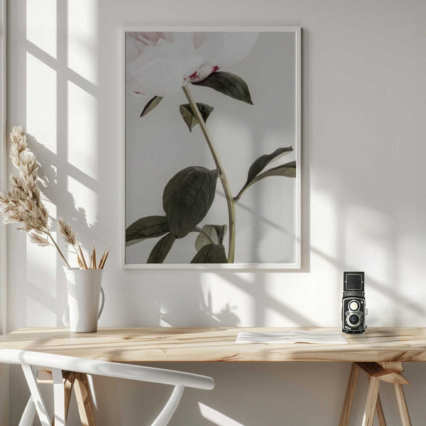 Tablou înramat „Peony 09” de Pictufy Studio III