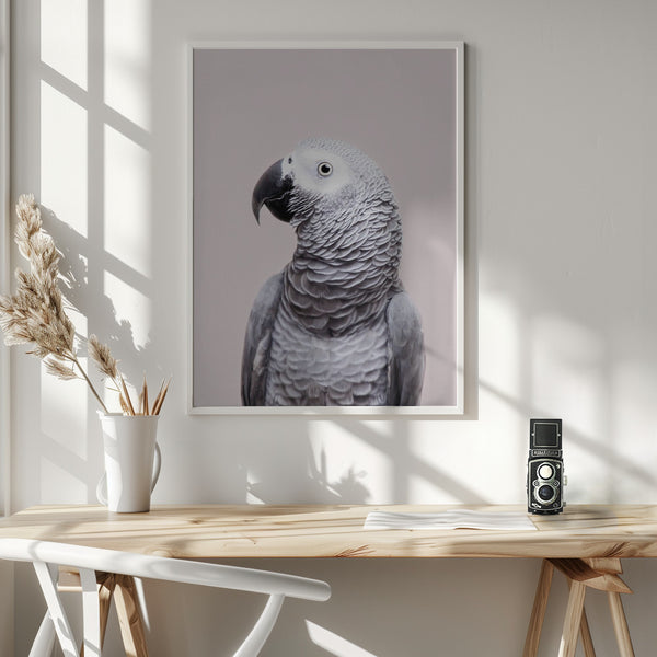 Tablou înramat „African Grey” de Kathrin Pienaar