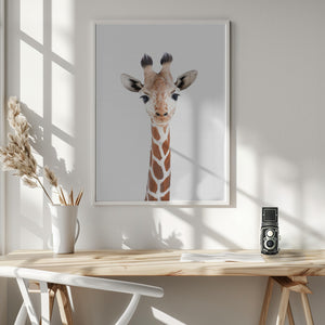 Tablou înramat „Baby Giraffe” de Kathrin Pienaar