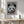 Tablou înramat „cat on panda bear” de Adam Lawless