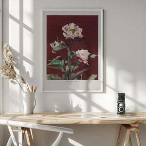 Tablou înramat „Hærdaceous Peony no2” de Ogawa Kazumasa