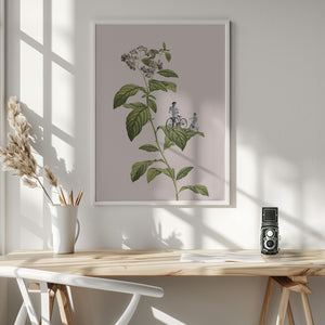 Tablou înramat „Botanical cycling” de Frida Floral Studio