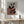 Tablou înramat „Abstract Paper VII” de Studio Palette