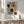 Tablou înramat „Mid Century Cut Outs2” de Ana Rut Bre