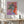 Tablou înramat „Vibrant Petals” de Dorothy Fagan