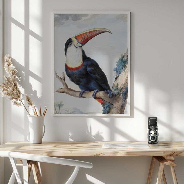 Tablou înramat „Red Billed Toucan” de Aert Schouman