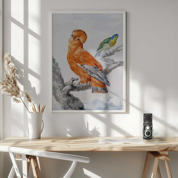 Tablou înramat „Two Exotic Birds” de Aert Schouman