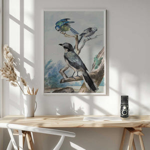 Tablou înramat „Three Birds” de Aert Schouman