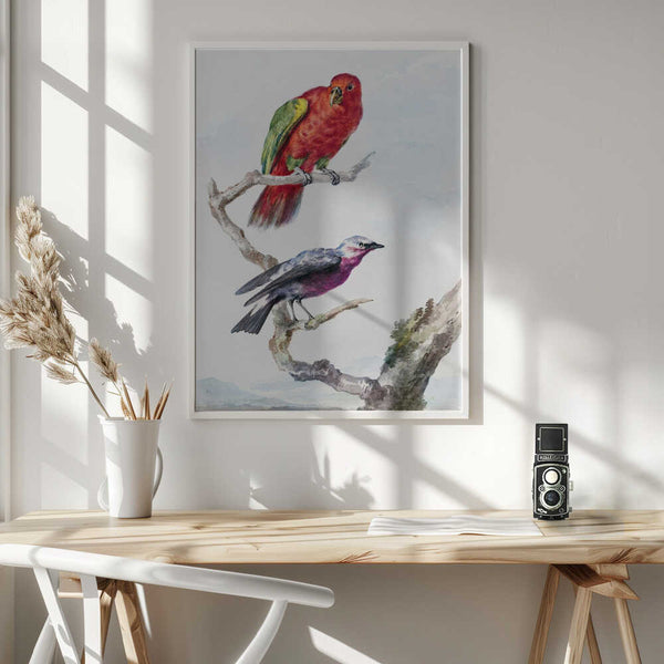 Tablou înramat „Two Birds, Including a Red Green Parrot” de Aert Schouman