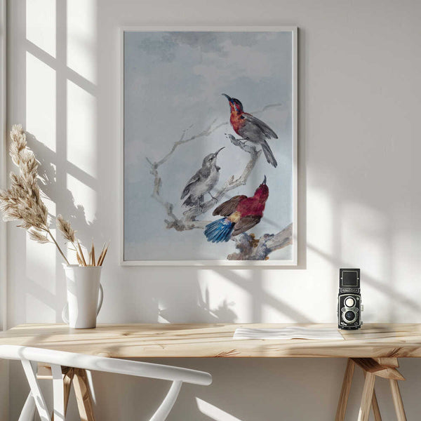 Tablou înramat „Three Crimson Sunbirds” de Aert Schouman