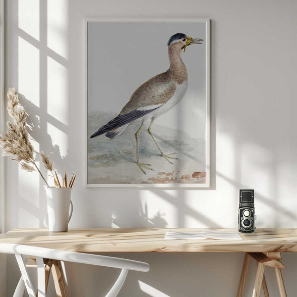 Tablou înramat „A Yellow Wattled Lapwing” de Aert Schouman