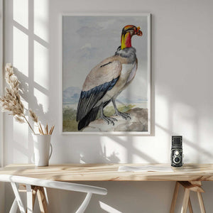 Tablou înramat „Stone Curlew” de Aert Schouman