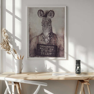 Tablou înramat „Zebra Mugshot Mystery” de Mike Koubou