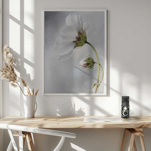 Tablou înramat „Heavenly Cosmos” de Mandy Disher