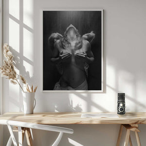 Tablou înramat „Fallen angel” de Petar Lupic