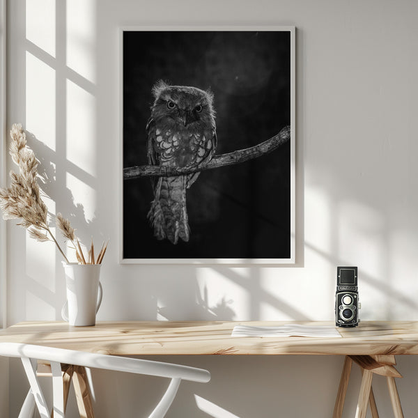 Tablou înramat „Alone in the night” de wilianto