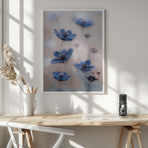 Tablou înramat „Cosmos blue” de Mandy Disher