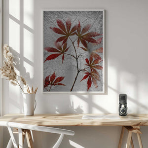 Tablou înramat „red maple” de Secundino Losada
