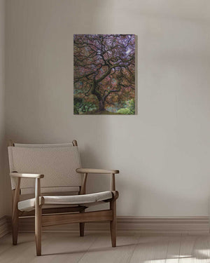 Tablou canvas „Japanese Maple Tree” de Mike Centioli