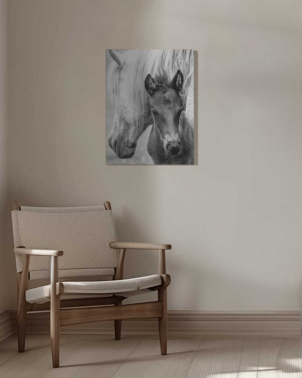 Tablou canvas „The Foal” de Jacky Parker