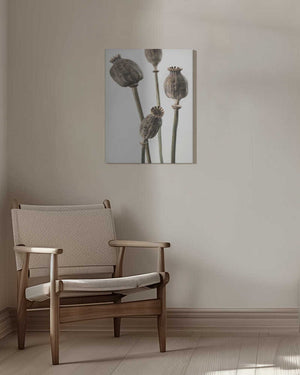 Tablou canvas „Dried_006” de Pictufy Studio III