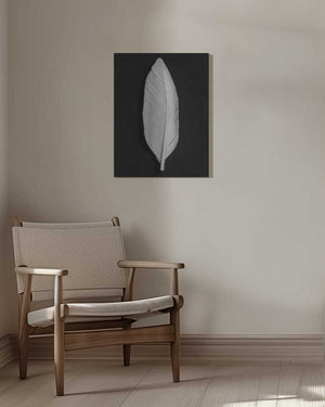 Tablou canvas „Feather_008” de Pictufy Studio III