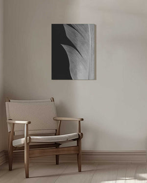 Tablou canvas „Feather_005” de Pictufy Studio III