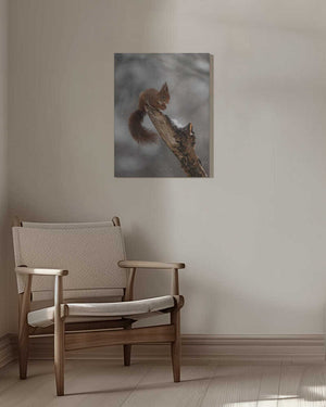Tablou canvas „scoiattolo rosso” de Marco Barisone