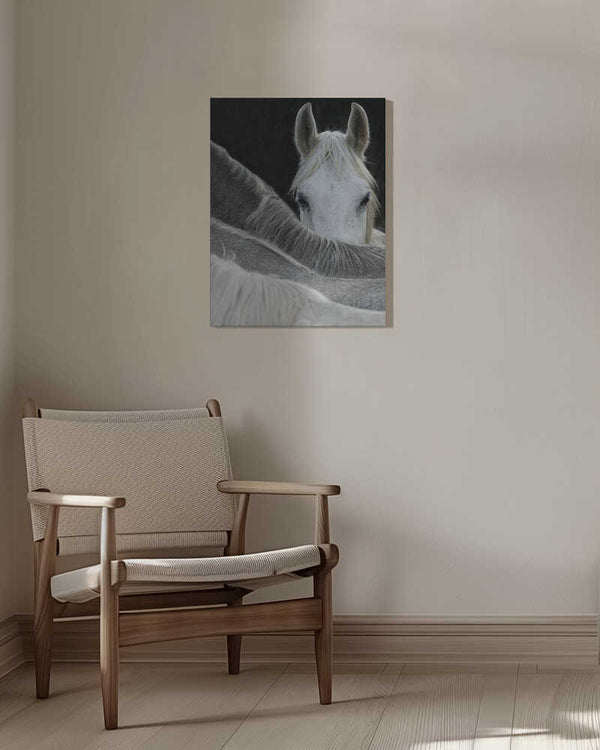 Tablou canvas „Look” de Milan Malovrh