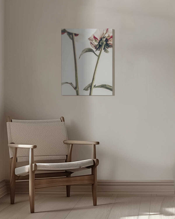 Tablou canvas „Peony 01” de Pictufy Studio III