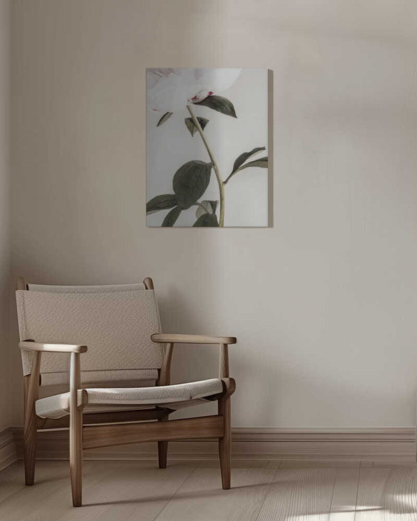 Tablou canvas „Peony 09” de Pictufy Studio III