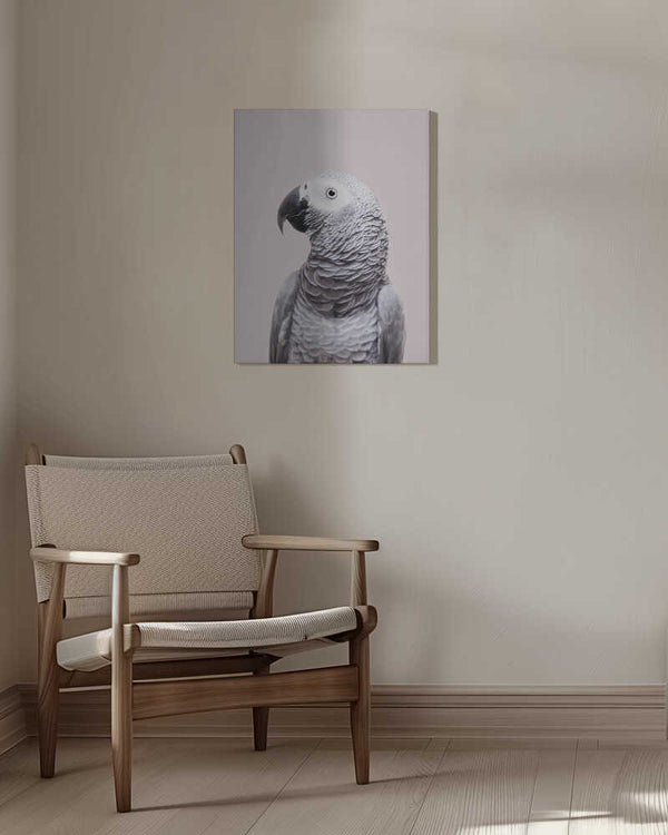 Tablou canvas „African Grey” de Kathrin Pienaar