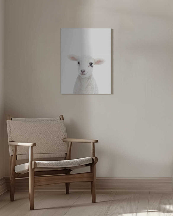 Tablou canvas „Baby Lamb” de Kathrin Pienaar
