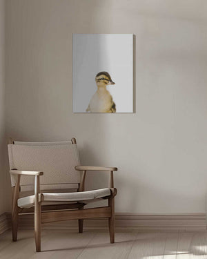 Tablou canvas „Baby Duck” de Kathrin Pienaar