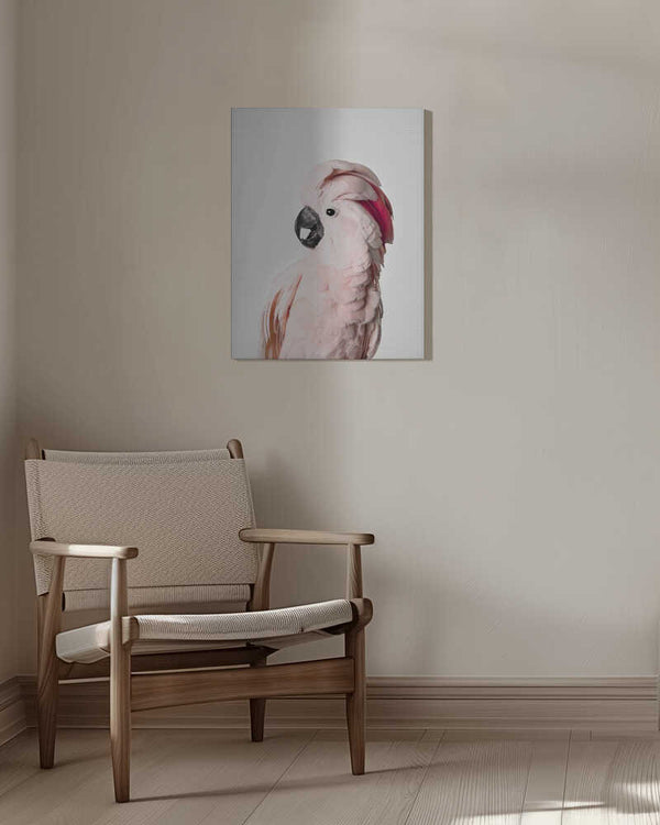 Tablou canvas „Pink Cockatoo” de Kathrin Pienaar