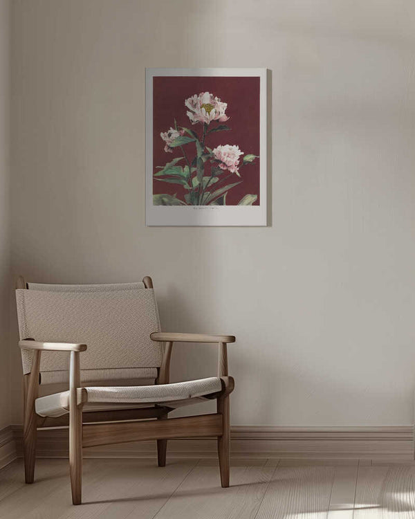 Tablou canvas „Hærdaceous Peony no2” de Ogawa Kazumasa