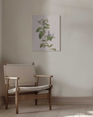 Tablou canvas „Botanical cycling” de Frida Floral Studio