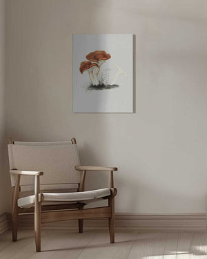 Tablou canvas „Hand Drawn Rufous Milkcap Mushroom” de Biodiversity Heritage Library