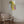 Tablou canvas „Vibrant Parrot Profile” de Shot by Clint