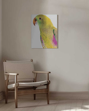 Tablou canvas „Vibrant Parrot Profile” de Shot by Clint