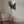 Tablou canvas „Vivid Bird Glance” de Shot by Clint