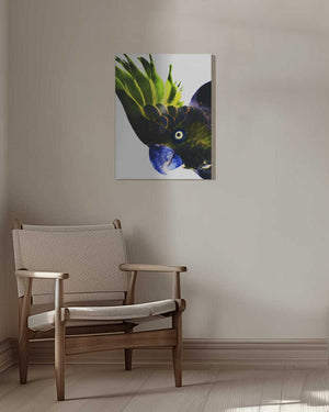 Tablou canvas „Vivid Bird Glance” de Shot by Clint