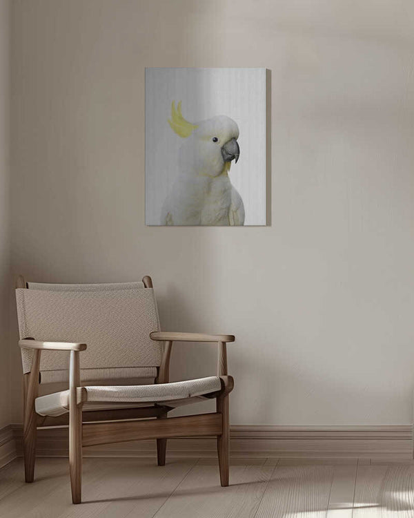 Tablou canvas „Peekaboo Cockatoo” de Lola Peacock